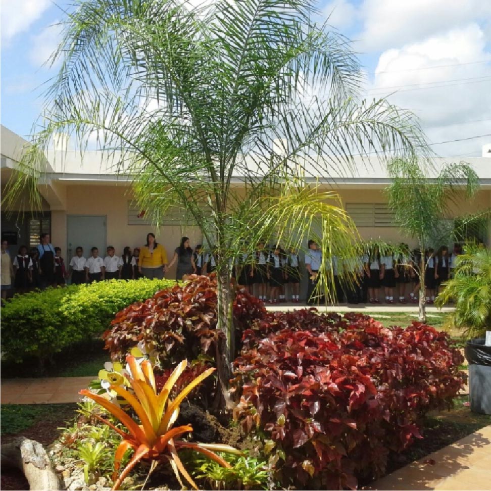 Centro Educativo (Zona Verde)